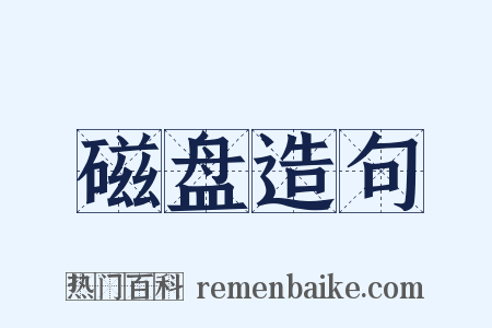 磁盘造句是什么意思的图片